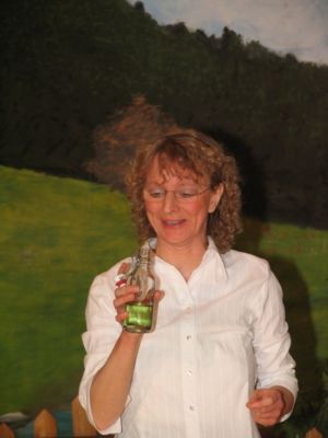 2009 250